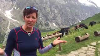 Tour of Mont Blanc Courmayeur to Refuge Bonatti [upl. by Riehl]