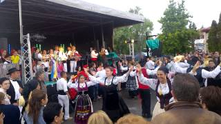 Os Lusitanos de Saint Cyr lecole na festa des Halles du Portugal [upl. by Lotus]