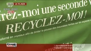 Recycler son sapin à Lille [upl. by Rosemonde]