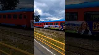 Tren de la Sabana [upl. by Anelrac]