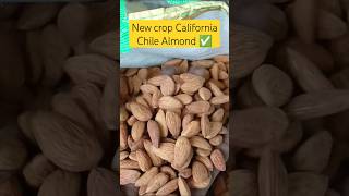 New crop California Chile Almond ✅shorts trending [upl. by Dare]