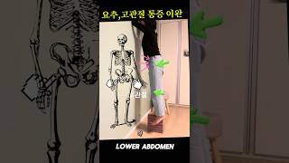 요추고관절 감각하고 놓고 시원하게  관찰 뇌가소성 치유 통증 재활 [upl. by Oznerol461]