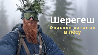 ШЕРЕГЕШ Опасное катание на сноуборде в лесу Март 2024 [upl. by Ellac]