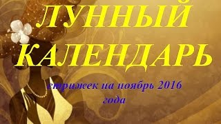 Лунный календарь стрижек на ноябрь 2016 года [upl. by Jaynell735]