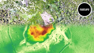 Lost beneath the leaves Lasers reveal an ancient Amazonian civilisation [upl. by Ydnec]