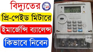 কিভাবে প্রিপেইড মিটারে ইমার্জেন্সী ব্যালেন্স নিবেন  How to Get Emergency Balance in Prepaid Meter [upl. by Yklam811]