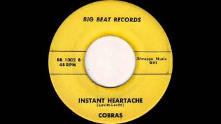 The Cobras  Instant Heartache 1966 Maine [upl. by Heti115]