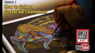 How to Color a Greyscale Chameleon by Tim Jeffs [upl. by Ilrac735]