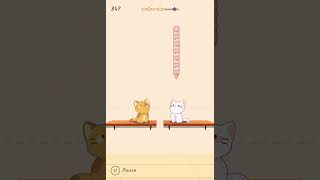 two CATS sing BELIEVER  Duet Cats Cute Popcat Music [upl. by Ayahsey]