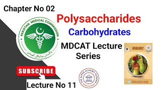 Polysaccharides Class 11 MDCAT In Urdu Hindi By Sir20  CHNo 02  LecNo 11  Biological Molecules [upl. by Ydac728]