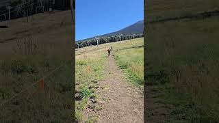 From Snowbowl To Summit Humphreys Peak In Flagstaff Arizona arizona [upl. by Nedrah152]