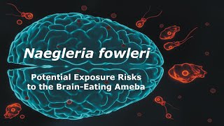 Naegleria fowleri and Potential Exposure Risks to the Brain Eating Ameba [upl. by Pendleton]