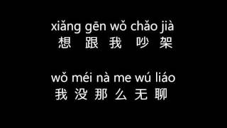 王力宏  心跳 Wang Leehom  Xin Tiao LyricsPinyin [upl. by Silvan351]