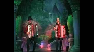 Accordion Show  My Fathers Son 아코디언 연주 [upl. by Ferino904]