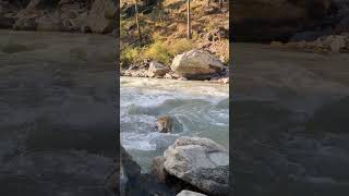 Kasol  Himachal Pradesh song arijitsingh music love travel himachal youtube youtubeshorts [upl. by Armillda]