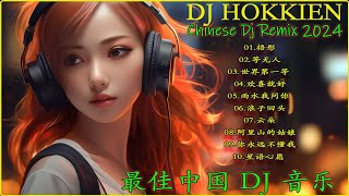 2024【Hokkien DJ Remix Songs 】Tik Tok 混音音樂 Taiwan 当地语言 陈小春算你狠  一百万 风真透  欢喜就好  2024 浪子回头DJ 舞曲 [upl. by Atnauq]