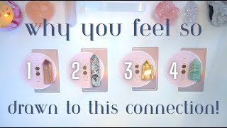 Why Are You So Drawn to Them 🌸🧲💞 Detailed Pick a Card Tarot Reading [upl. by Anirt]