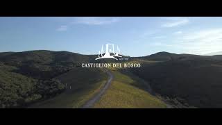 Castiglion del Bosco Winery 2020 [upl. by Eliath]