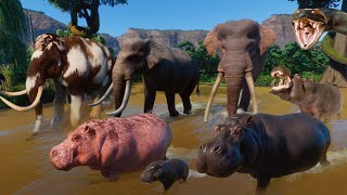 Ancient Animals VS Modern Animals Race in Planet Zoo included Mammoth Smilodon Cheetah amp Tiger [upl. by Karyl]