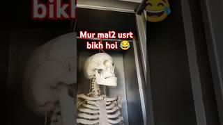 Mur e dokhr bor bikh😃🤣 viralvideo funny [upl. by Melessa]