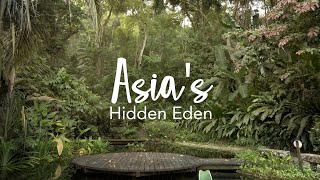 Asias HIDDEN EDEN  Relaxing Rainforest Sanctuary at the Tropical Spice Garden Penang [upl. by Neela99]