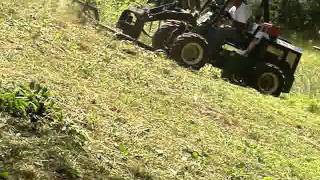 PowerTrac PT425 Mowing Bank Below Driveway [upl. by Sukin]