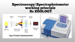 Spectrophotometer working [upl. by Sethi]