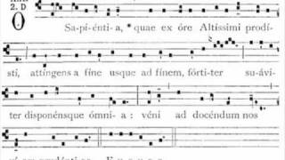 Antifona O Sapientia  gregorian antiphon [upl. by Oiluarb847]