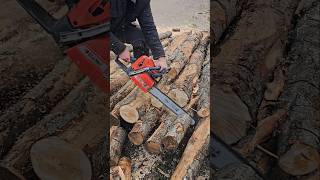 Бензопила Oleomac Цепь Oregon wood chainsaw tools [upl. by Sirrad]