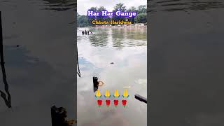 Har Har Gange  Haridwar  Har ki Pauri  Ganga Snan  Batti Gul Meter Chalu  Arijit Singh  Uk 🙏🌹🙏 [upl. by Rob933]