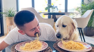 Spaghetti Eating Competition My Dog vs Me [upl. by Tdnerb]