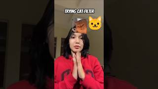 Cat meme face😍 shorts shortsfeed shortvideo filters [upl. by Enalb]