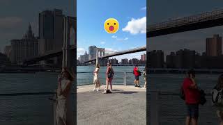 Stunning Manhattan and Brooklyn Bridge Views Dumbo NYC travel brooklyn newyork [upl. by Cherye99]