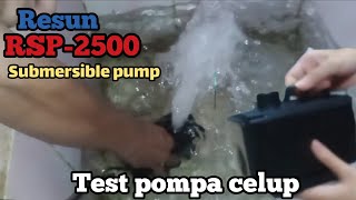 Test pompa celup Resun RSP 2500 SUBMERSIBLE PUMPreview [upl. by Panchito]