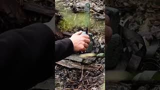 Pygmy Owl zeisssecacam wildphotography trailcam [upl. by Light428]