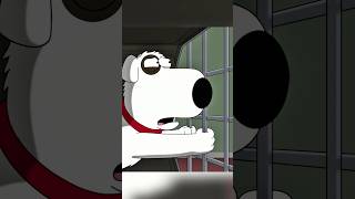 Stewie Sold Brian Into TikTok Slavery familyguy funny shorts [upl. by Yrdua878]