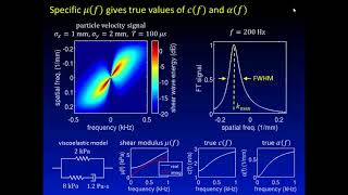 Measurement Of The Frequency Dependent Phase Velocity And Attenuation [upl. by Ilujna940]