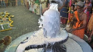 Maha shivratri Sri Rudra Abhishekam Mantra  Powerful For Good Health amp Protection Against Enemies [upl. by Catriona871]