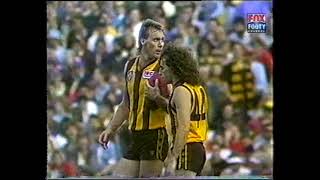 VFL 1987 Preliminary Final Hawthorn vs Melbourne ABC commentary [upl. by Adil]