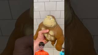 Monkey ￼splat monkememe memes bonk comedy monketag monkey splat fun meme funny [upl. by Tichon]