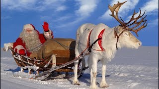 Santa Claus for kids 🦌🎅 Best reindeer rides of Father Christmas in Lapland Finland for children [upl. by Lezlie]