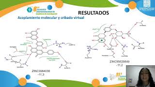 SIMULACIONES COMPUTACIONALES PARA LA IDENTIFICACIÓN DE COMPUESTOS NATURALES CON POSIBLE ACTIVIDAD IN [upl. by Legnaleugim614]