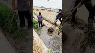 Irrigation cement ditch dredging process [upl. by Haizek]