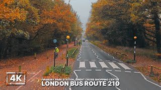 London Bus Ride through North London Neighbourhoods 🍁🍂  Bus 210 from Finsbury Park to Brent Cross [upl. by Aidnic]