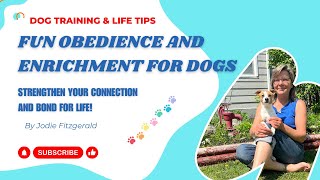 Fun Obedience amp Enrichment For Dogs [upl. by Haymo516]