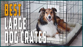 Best Large Dog Crates  Best Dog Crates for Large and Extra Large Dogs [upl. by Ayoted]