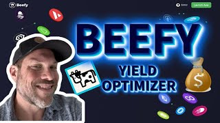 Beefy MultiChain Yield Farming Optimizer Earn Passive Income on Your Crypto [upl. by Gregoor]