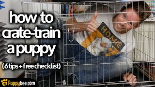 6 Tips on How to CrateTrain a Puppy Fast [upl. by Kcitrap676]