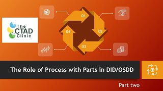 The Role of Process with Parts in DIDOSDD part two [upl. by Annaerda]