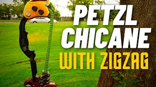 Tree Climbing with Zig Zag and Chicane Best Tree Gear [upl. by Sue]